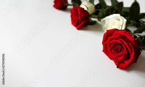 Fototapeta Naklejka Na Ścianę i Meble -  Red and white roses background or backdrop. Beautiful bright flowers laying on white surface. Copy space for text, top view. Lovely template for wedding, marriage, valentines day, mothers day greeting