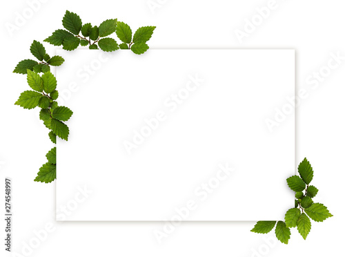 Green twigs with small textured leaves in a beautiful corner arrangements and a card