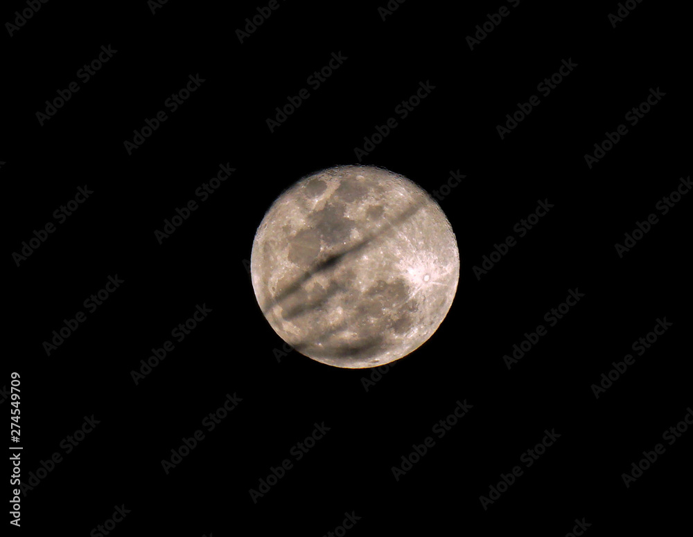 Obraz premium Blurred and silhouette of tree branch on full moon with night time background.