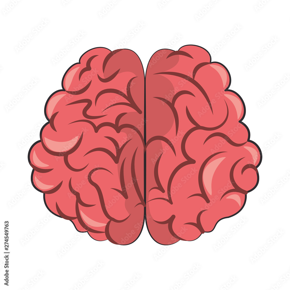 Human brain intelligence symbol isolated Human brain intelligence symbol isolated