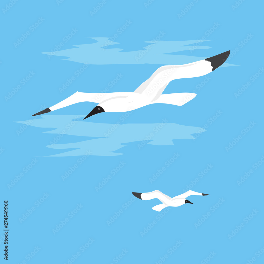 Obraz premium Two seagulls soar in the blue sky. Vector illustration.