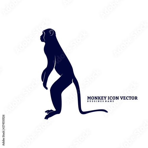 Monkey Design Vector. Silhouette of Monkey. Vector illustration