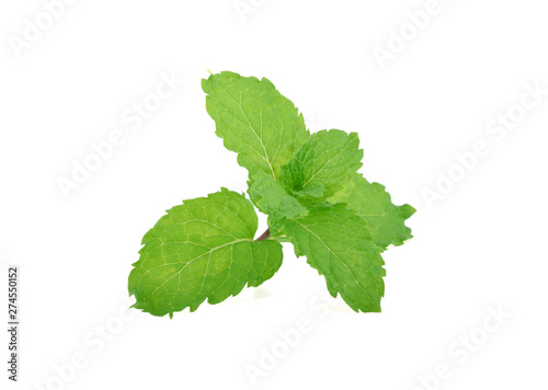 Mint leaves isolated on white background.