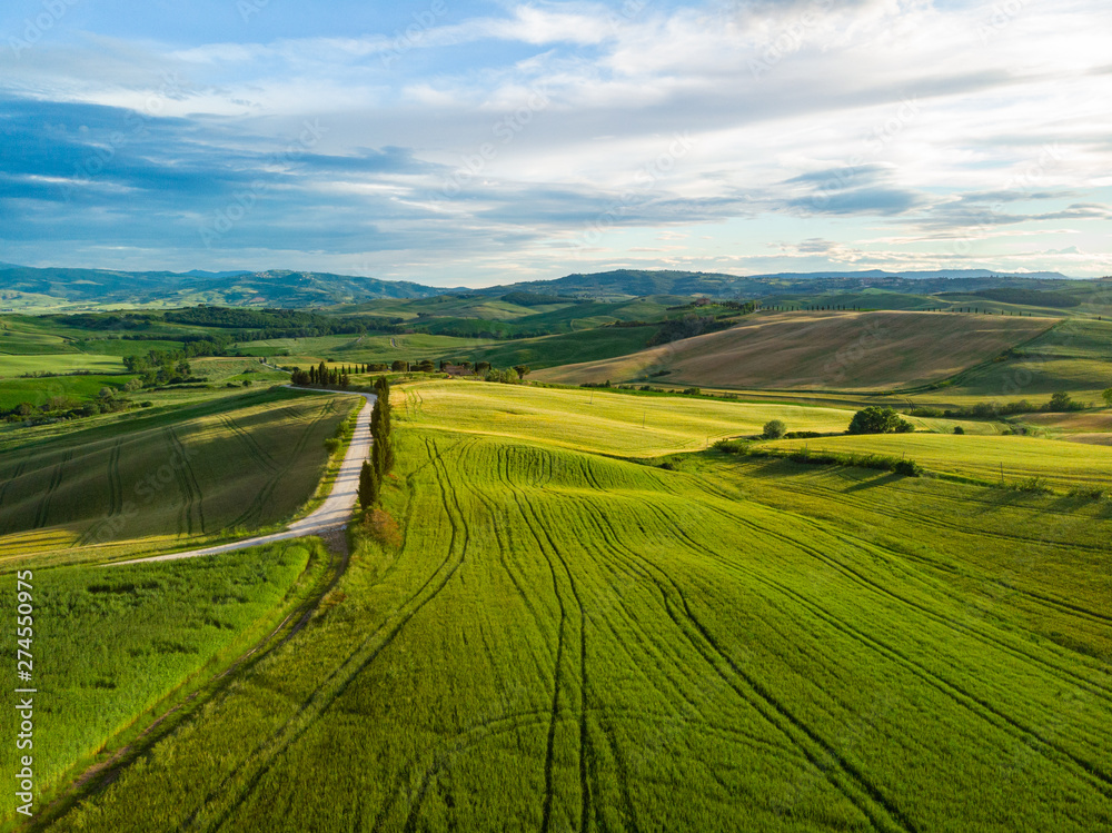 Typical landscape of the green Tuscany, Italy. Aerial view.