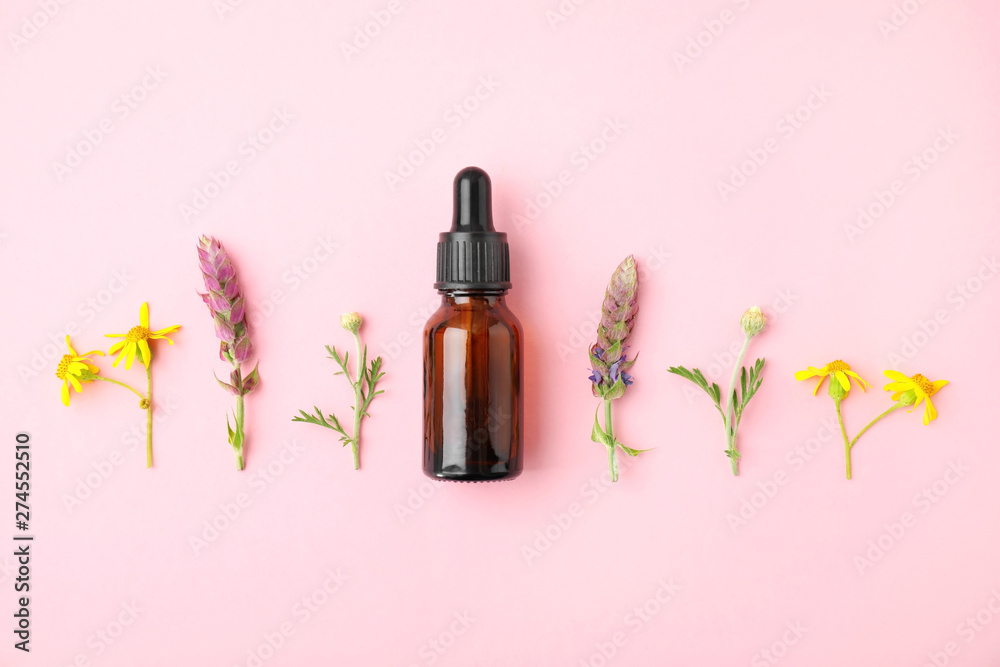 Bottle of essential oil and wildflowers on color background, flat lay - obrazy, fototapety, plakaty 