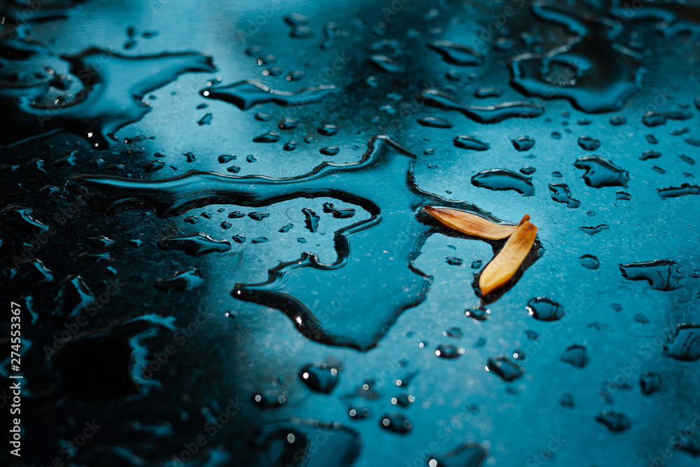 Closeup of yellow petals with raindrop on glass floor after rain - obrazy, fototapety, plakaty 