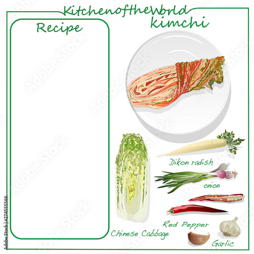 Vector illustration of menu. Recipe blank. Kimchi, traditional korean food. Illustration on white.