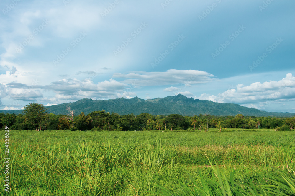Nice view plains in Tuy, Batangas, Philippines. landscape background