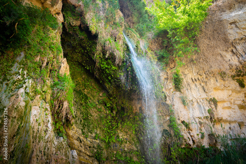 Beautiful waterfall in Ein Gedi spring and nature reserve Israel photo