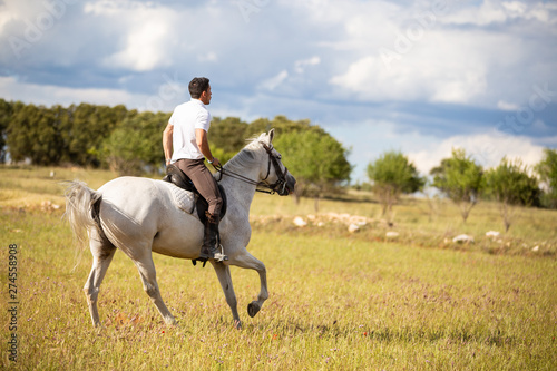 Back view of young male riding white horse in grassy meadow on cloudy day in countryside