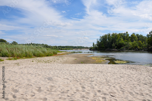 Fototapeta Naklejka Na Ścianę i Meble -  Wide blue river is slow flowing. Summer. Sunny weather and white sand. green trees far away