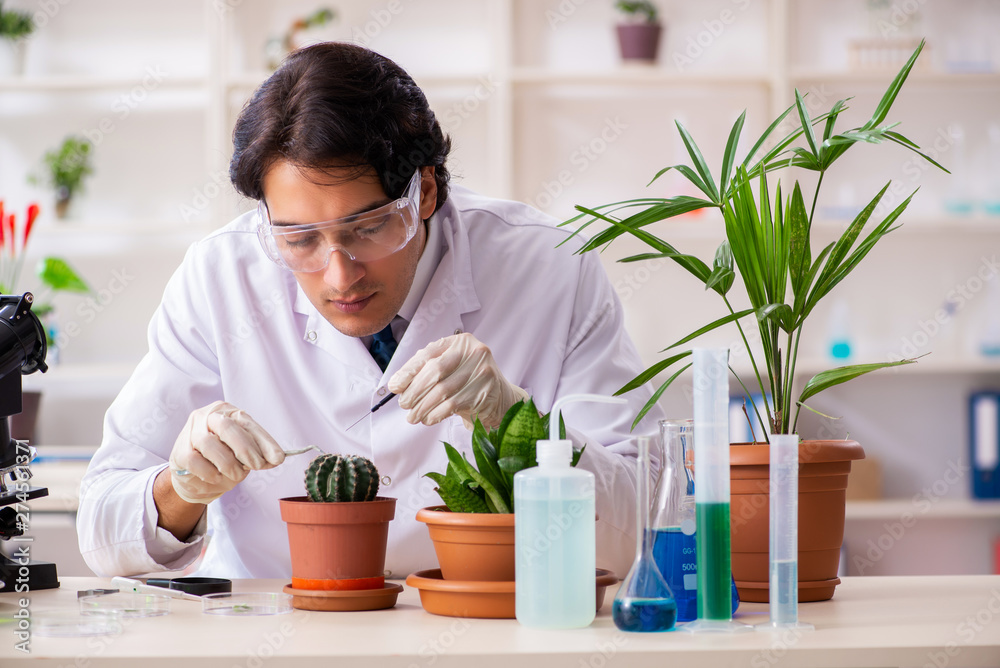 Biotechnology chemist working in lab Biotechnology chemist working in lab