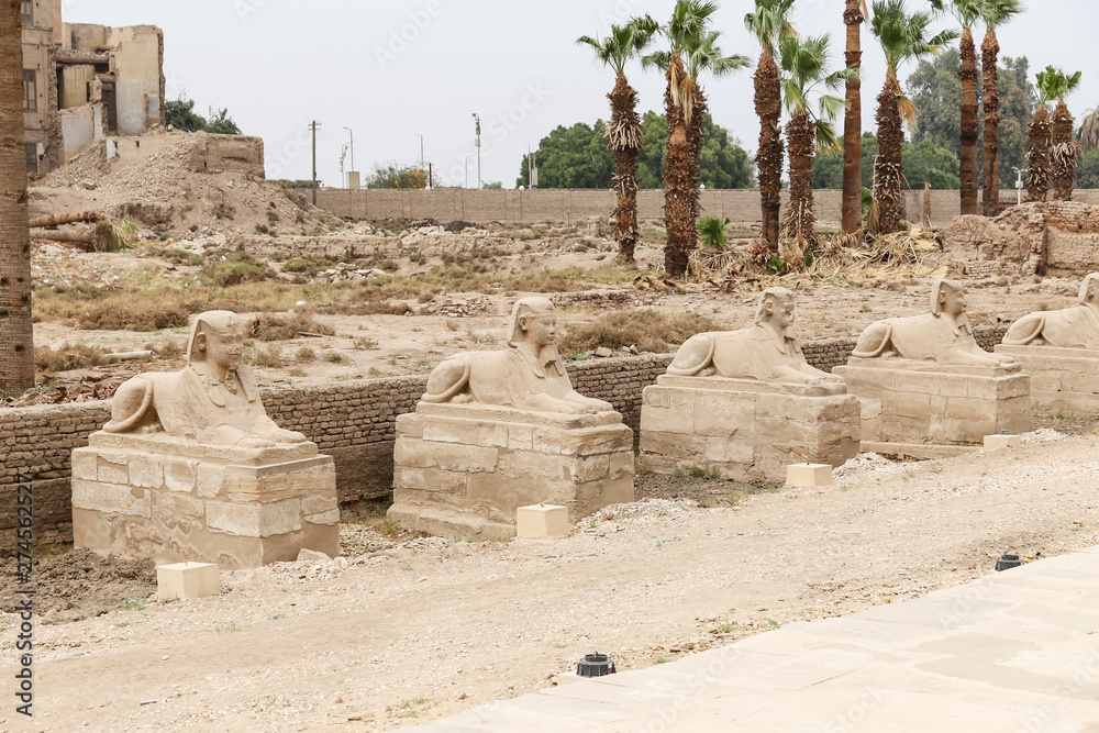 Avenue of Sphinxes in Luxor Temple, Luxor, Egypt
