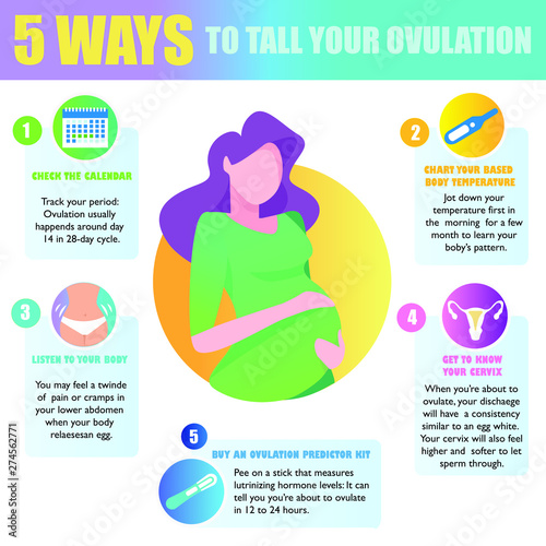 5 ways to tall your ovulation. Preparation for pregnancy. Detailed vector Infographic.