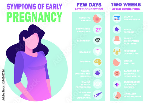 Symptoms of early pregnancy. Detailed vector Infographic. Human health.