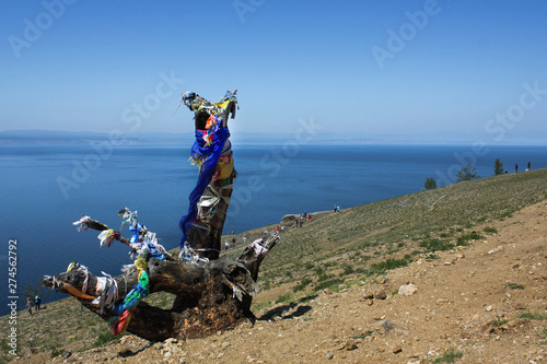 Log with ribbons, Olchon island, Baikal lake, Siberia, Russia photo