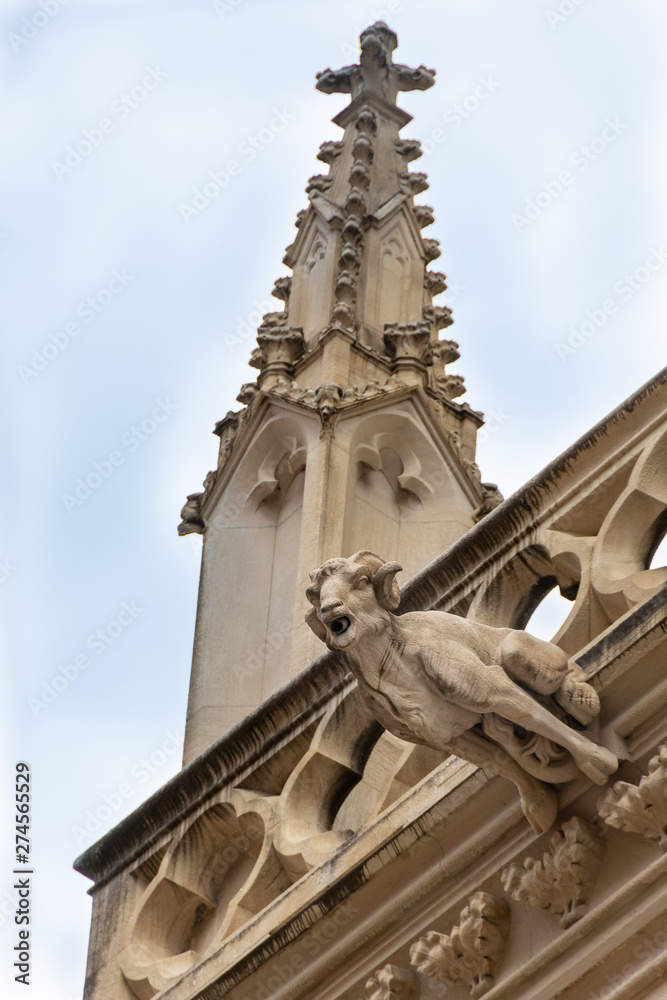 Gargouille de la cathédrale Saint-Jean, Lyon, France
