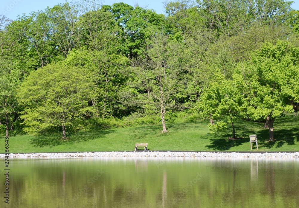 A beautiful view of the lake in the park on a spring day. A beautiful view of the lake in the park on a spring day.