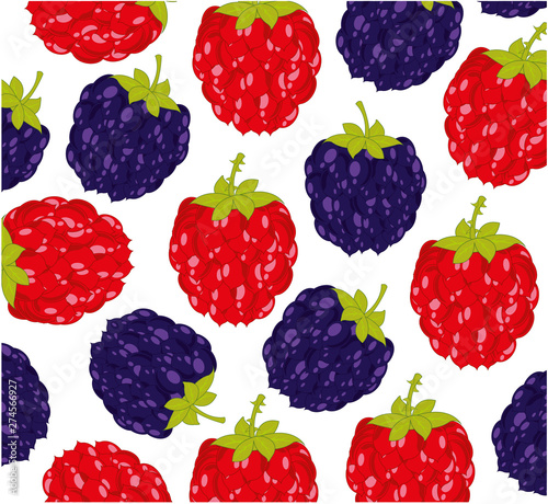 Berry raspberry and blackberry pattern on white background is insulated