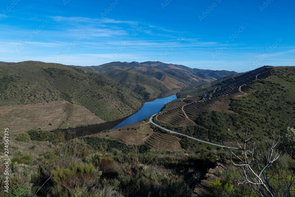 View of Douro River with terraced vineyards near the village of Foz Coa, in Portugal; Concept for travel in Portugal and most beautiful places in Portugal View of Douro River with terraced vineyards near the village of Foz Coa, in Portugal; Concept for travel in Portugal and most beautiful places in Portugal
