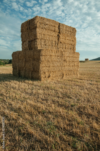 Hay bales piled up on field in a farm