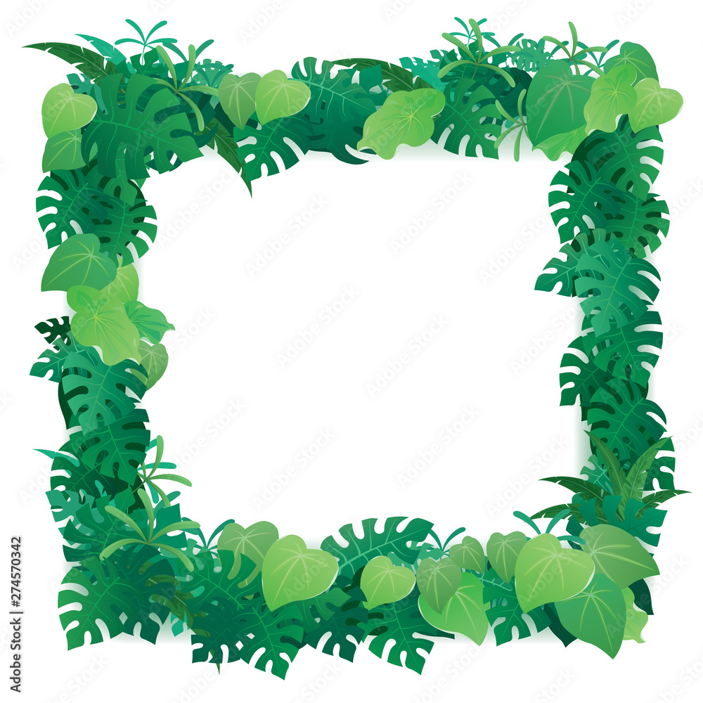 Fototapeta premium Tropical leaves vector frame.