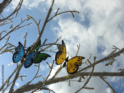 Urban decor: arteficial butterflies on the tree in Moscow photo