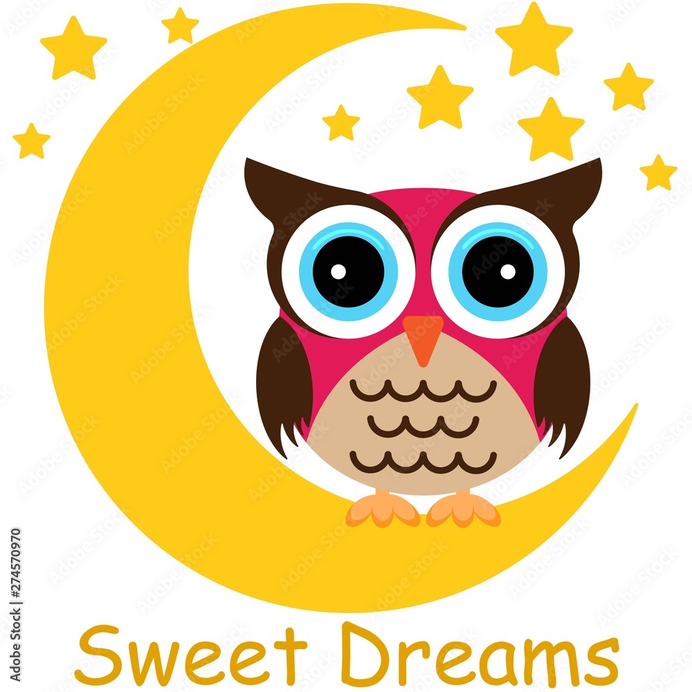 Fototapeta premium Colorful owl on a night moon