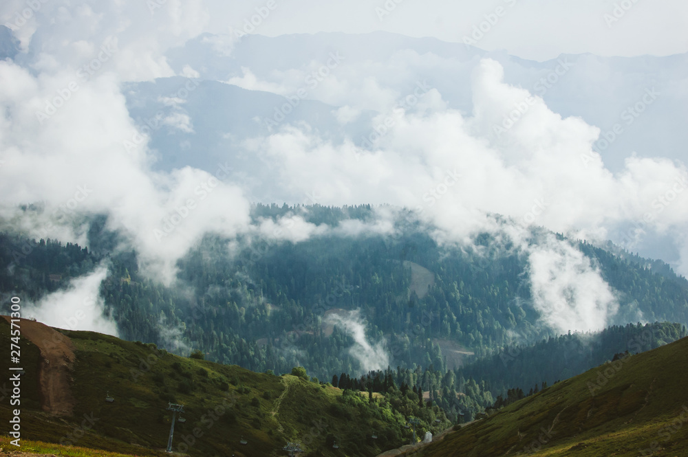 Summer forest on the peaks of the Caucasus Mountains Summer forest on the peaks of the Caucasus Mountains