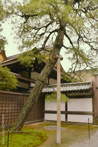 kyoto palace