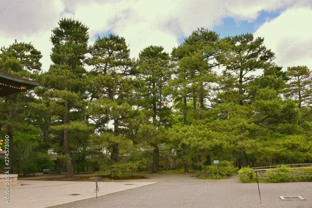 garden in kyoto