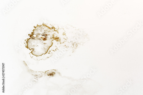 fungus and disease infection with began to decay on white ceiling or wall in the room because water leaking from the roof cause germs and sickness with asthma for dirty texture and background isolated