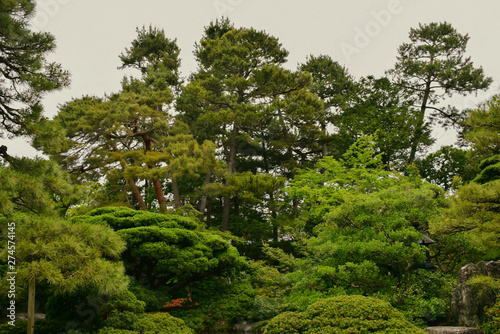 garden in kyoto palace © chanakarn