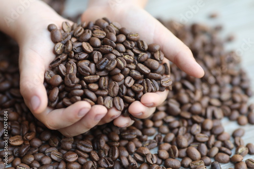 Coffe beans in hands and on the wooden table, roasted arabica