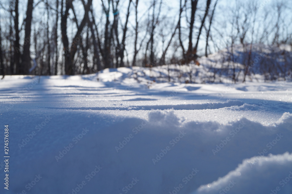Sparkling snow in the winter forest Sparkling snow in the winter forest