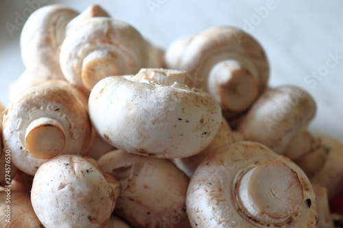 Close up view on fresh mushrooms