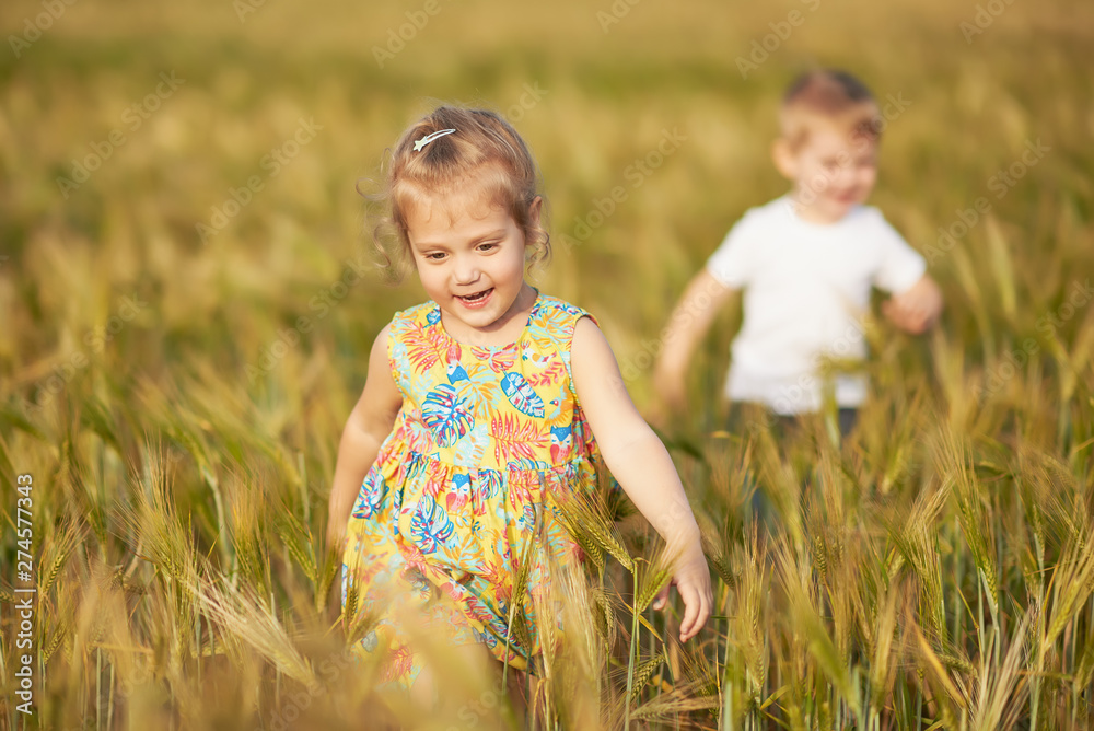 Cute children walking and running on the wheat golden field on a sunny summer day. Girl and boy smiling and happy. Nature in the country. Happy family Cute children walking and running on the wheat golden field on a sunny summer day. Girl and boy smiling and happy. Nature in the country. Happy family