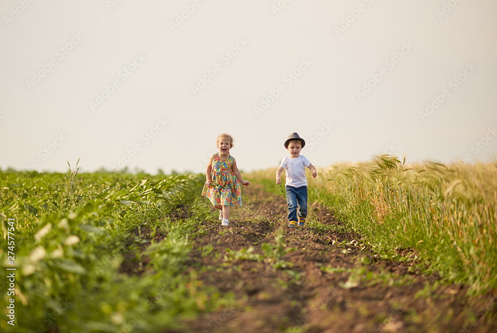 Cute children walking and running on the wheat golden field on a sunny summer day. Girl and boy smiling and happy. Nature in the country. Happy family Cute children walking and running on the wheat golden field on a sunny summer day. Girl and boy smiling and happy. Nature in the country. Happy family
