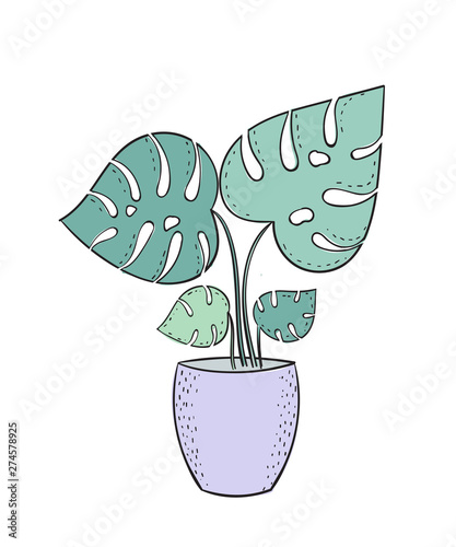 Vector cute card with house plant in pot