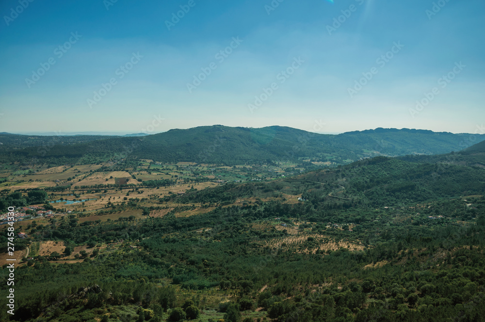 Mountainous landscape covered by trees and cultivated fields