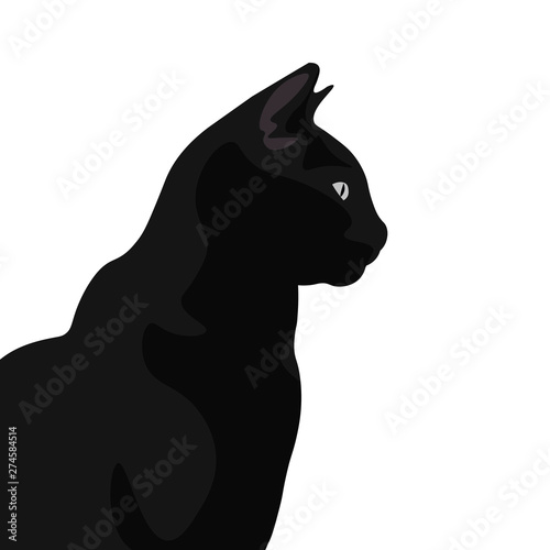 Ilustración de gato de pelo negro. Diseño plano de felino domestico, silueta de animal observando.
