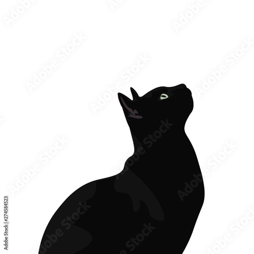 Ilustración de gato de pelo negro. Diseño plano de felino domestico, silueta de animal observando. © Dewing