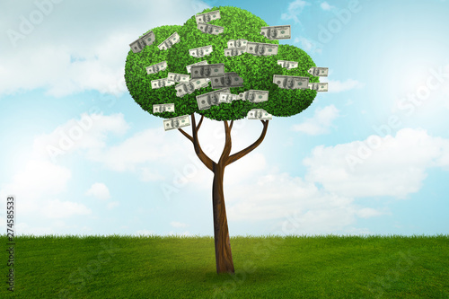 Money tree in business concept - 3d rendering