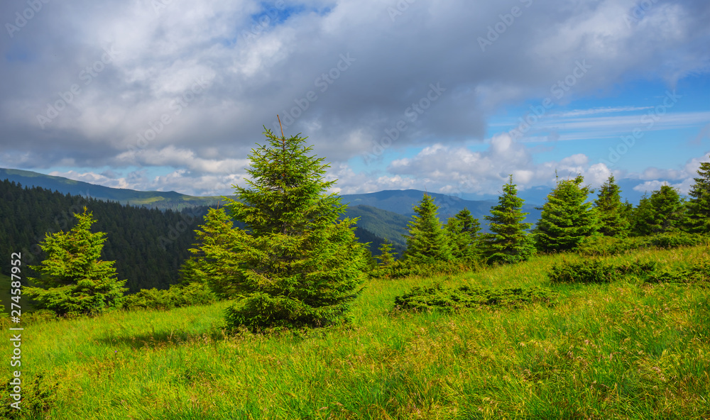 green mountain slope with small forest under a cloudy sky