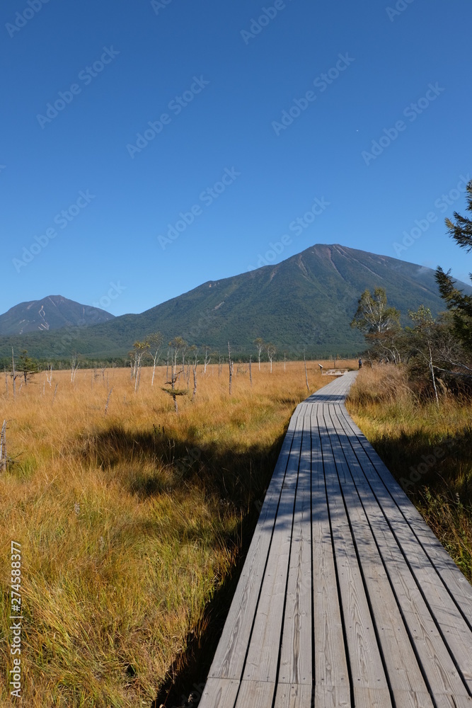Fototapeta premium boardwalk