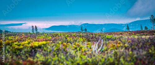 Panel kuchenny z motywem Gaustatoppen Norway Telemark Scandinavi