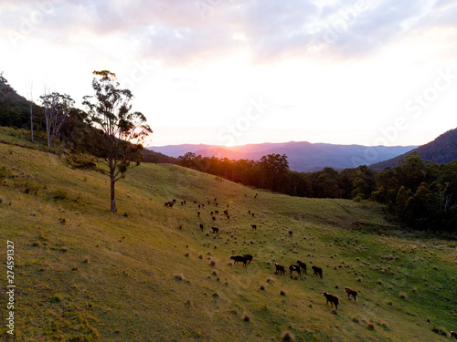 Wallpaper Mural Rural Farm Aerial View Torontodigital.ca