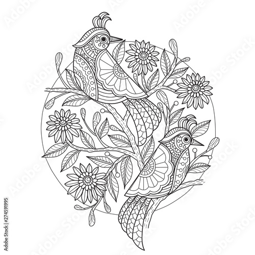 Hand drawn sketch illustration of bird lover for adult coloring book.