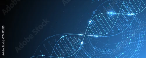 Obraz Szablon nauki, tapeta lub baner z cząsteczkami DNA. Ilustracji wektorowych.