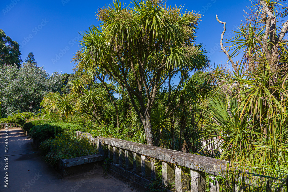 Obraz premium End of May at Botanical Garden in Porto